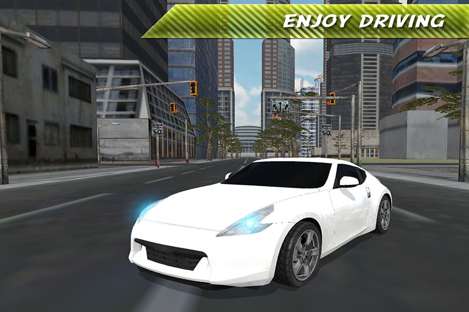 Real Fast Car Driving Simulator screenshot 4