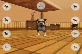 Game screenshot Dog Dog Mess mod apk