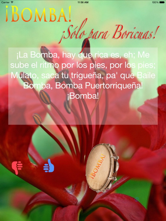 ¡Bombas Navideñas! iPad