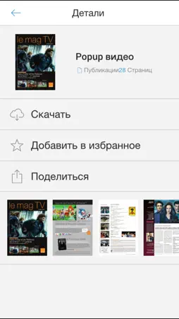 Webpublication RU screenshot 3