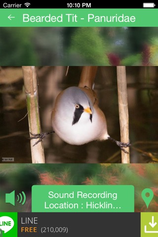 Birds of Britain Soundsのおすすめ画像1