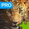 Big Cats Puzzle Pro - Forge The Jigsaw From Unscrambled Pieces contact information