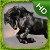 Horse Simulator - HD