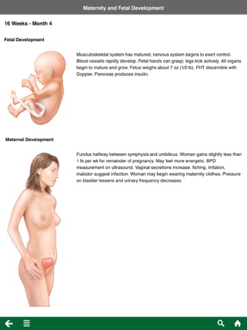 Screenshot #5 pour Maternity and Pediatric Nursing Reference App