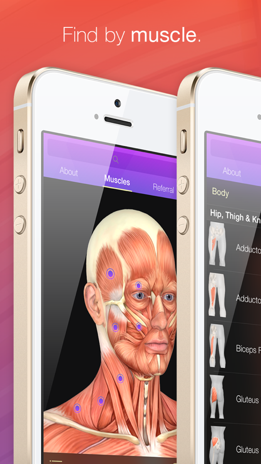 #2. Trigger Points - Guide & Reference (iOS) 由: Body Culture