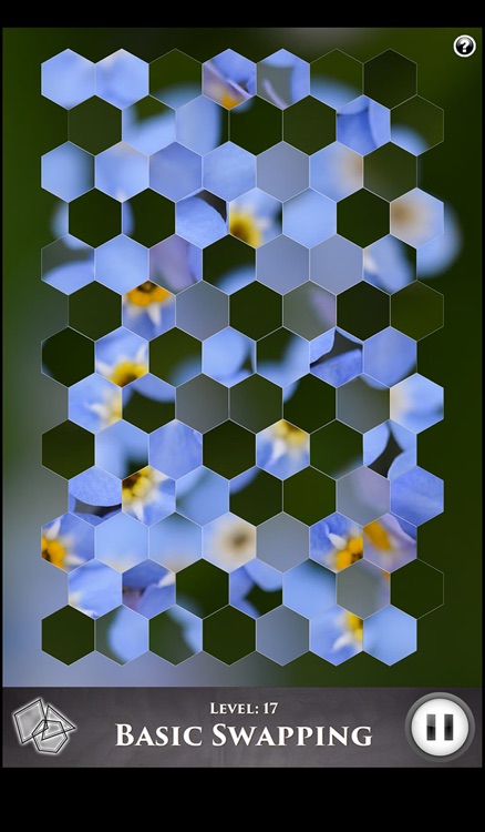 Hidden Scenes - Spring Vibes