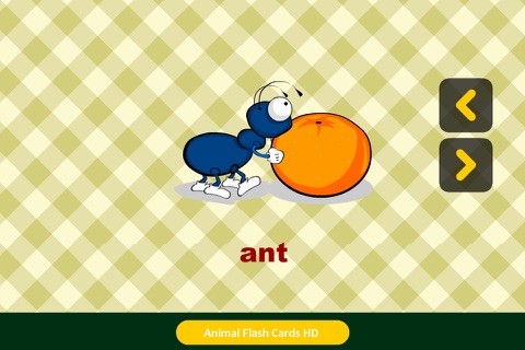 Animal Flash Cards HD screenshot 3