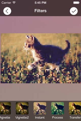 Photo Pixelate screenshot 2