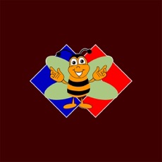 Activities of Learn Russian Free