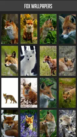Game screenshot Fox Wallpapers mod apk