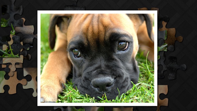 puzzler kids - puppies