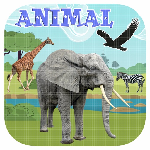 Animal Games For Kids