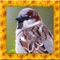 Wild Sparrow Simulator