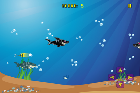 Shark Frenzy - Free screenshot 2