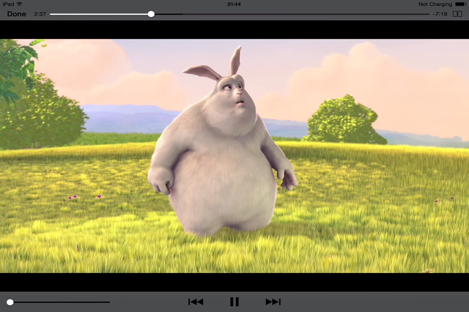 GSE DLNA PLAYER screenshot 2