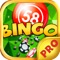 Bingo Elite PRO - Play Online Casino and Daub the Card Game for FREE !