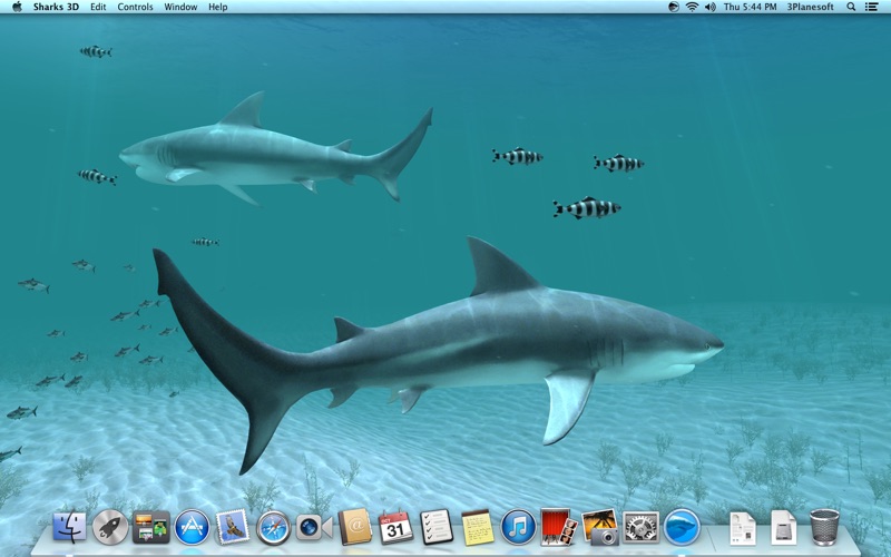 Sharks_3D.app caprure 2 2_Sharks_3D.jpg