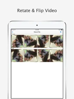 Video+Rotate & Flip FREE - for iPhone, iPod touch and iPad iPad image 1
