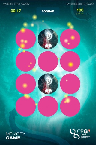 CRG Memory Game screenshot 3