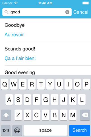 French Phrasebook: Conversational French screenshot 4