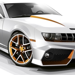 Russian Driver: New York