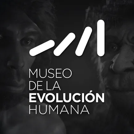 Museo de la Evolución Humana Cheats