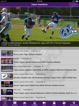 ONU Tigers screenshot 7