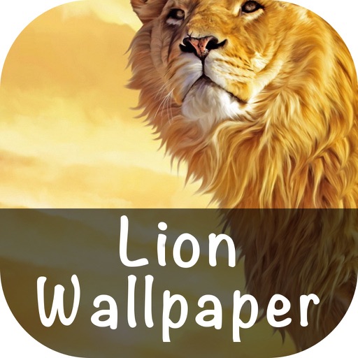 Lion Wallpaper