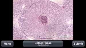 Animal Histology Free screenshot #3 for iPhone
