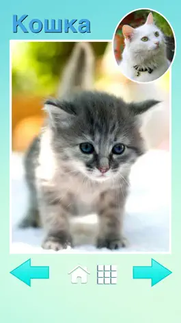 Game screenshot Zoola baby animals apk