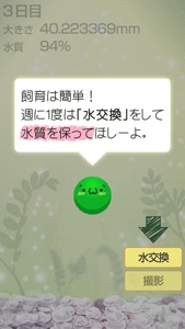 Marimo Game Free screenshot #2 for iPhone