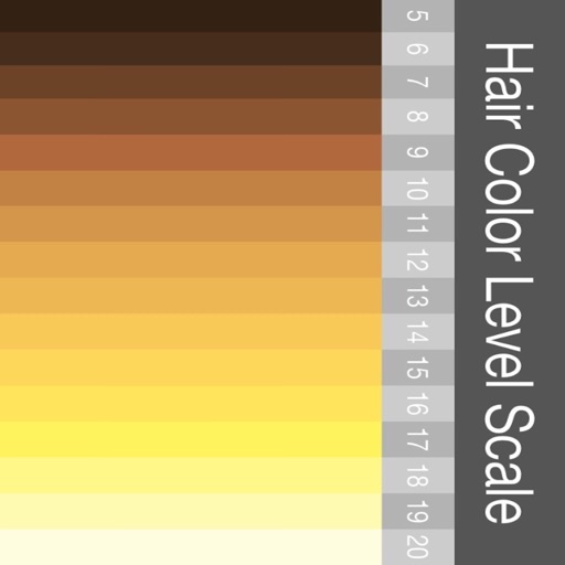 Hair Color Level Scale icon