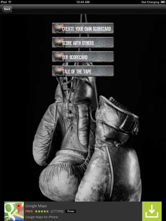 Boxing Fight Night Pro