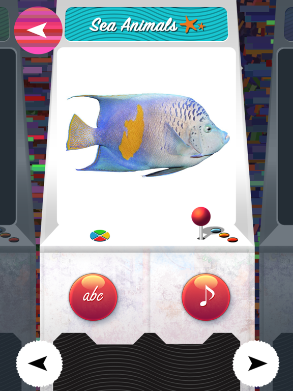 Screenshot #5 pour T.O.Y ( Teach Our YoungOnes ) - Free PreSchool Educational Learning Games For Toddlers And Kindergarten Kids With Birds and Animals sounds