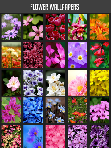 Screenshot #4 pour Flower Wallpaper