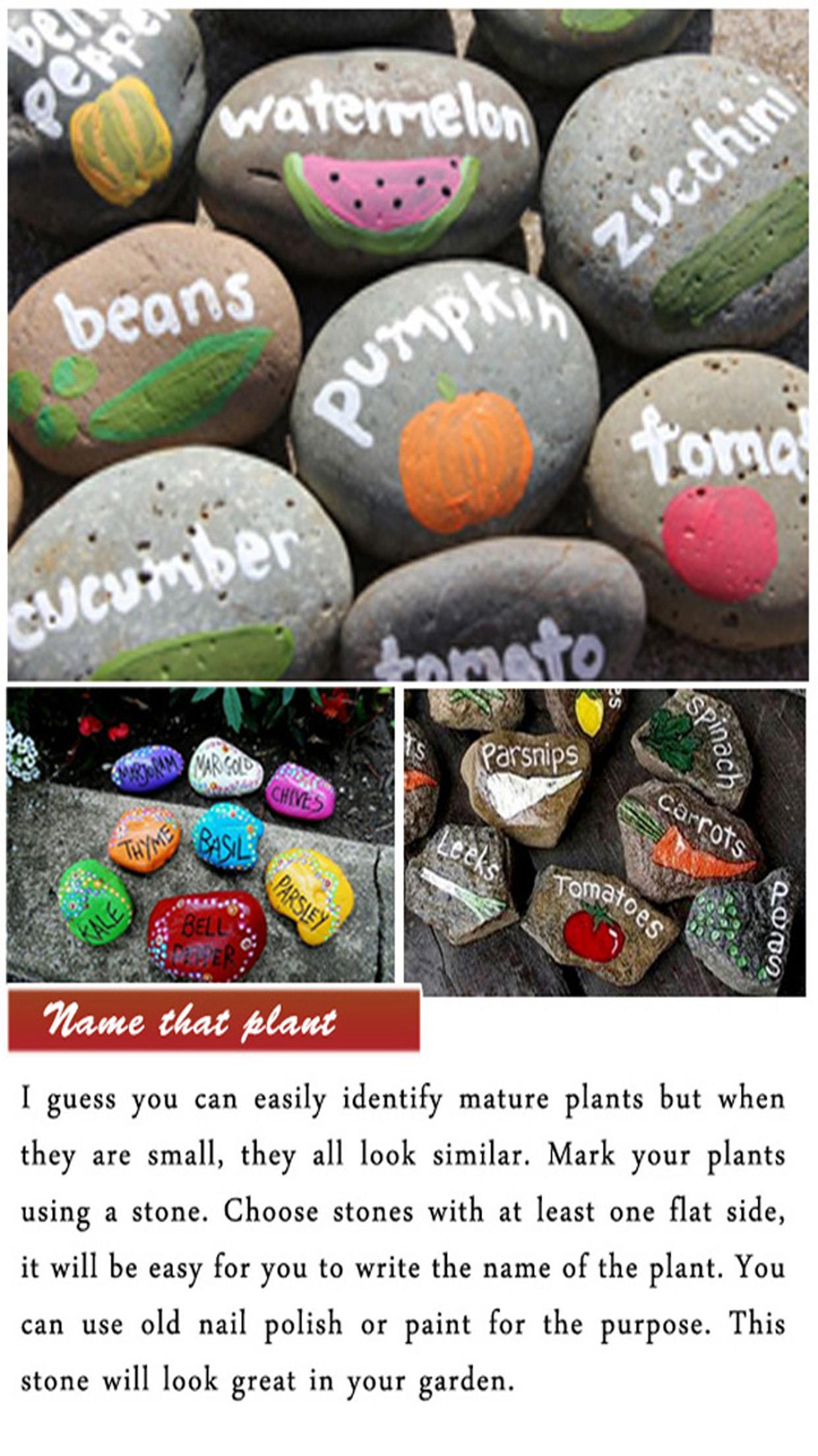 DIY Gardening Tips