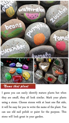 DIY Gardening Tips screenshot 3