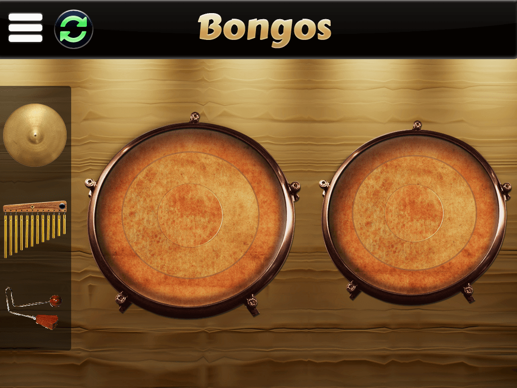 Garage Virtual Congas & Bongos