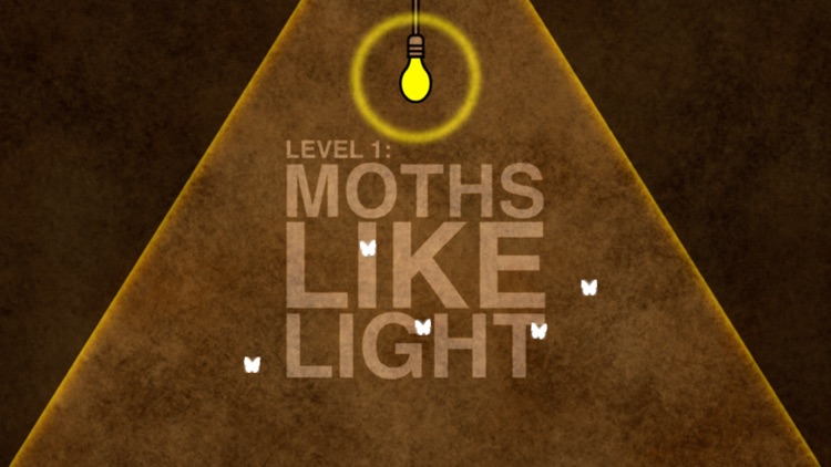 Moths Like Light