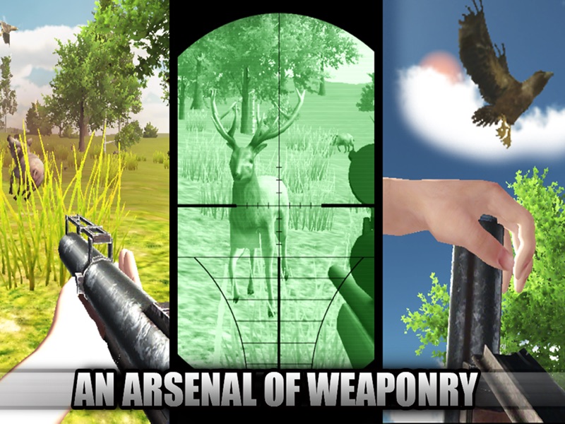 Ace Bird Sniper 2014 - Hunting Birds & Animals, Adult Simulator Hunter Games screenshot 8