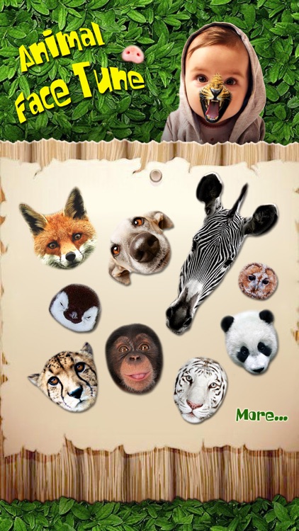 Animal Face Tune - Sticker Photo Editor to Blend, Morph and Transform Yr Skin with Wild Animal Textures