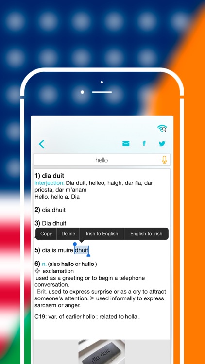 Offline Irish to English Language Dictionary screenshot-4
