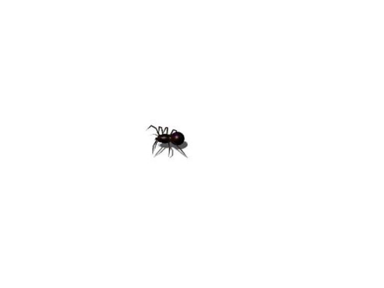 Cataphoria