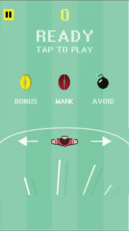 Game screenshot Footy Fanatic hack