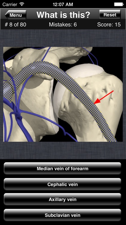 Anatomy Shoulder Quiz