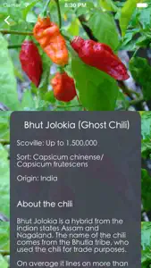 Chili Guide, Recipes & Garden screenshot #3 for iPhone