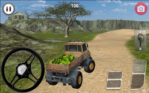 Truck Delivery 3D screenshot 2