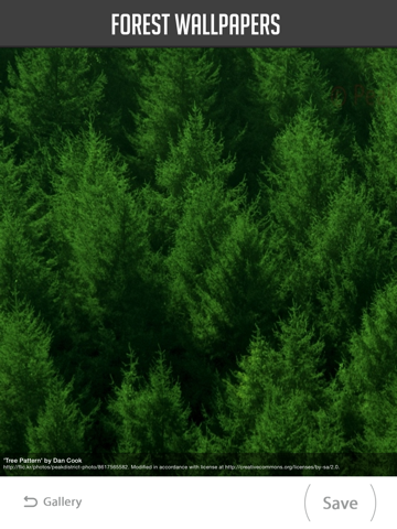 Screenshot #6 pour Forest Wallpapers