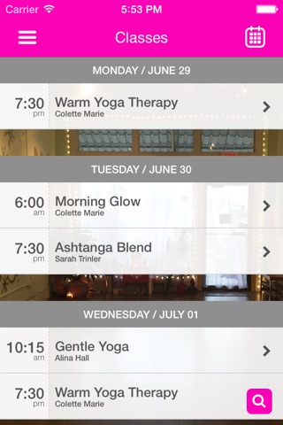 Wild Lotus Yoga Studio screenshot 3