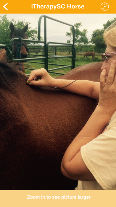 Screenshot #3 pour iTherapySC - Horse